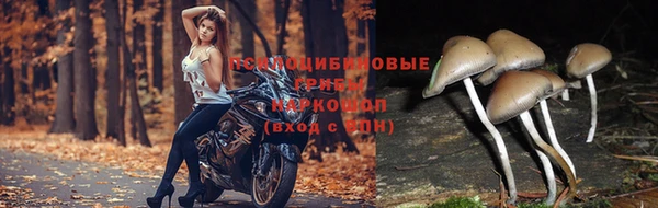 скорость Верея